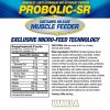 MHP Probolic-SR Muscle Feeding Protein - Nyújtott Felszívódású Fehérje Keverék (52 Adag, Vanília)