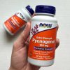 Now Foods Pycnogenol 100 mg (60 Veg Kapszula)