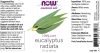 Now Foods Eucalyptus Radiata Olaj (30 ml)