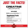 MuscleMeds Creatine Decanate - Kreatin Formula (300 g, Ízesítetlen)