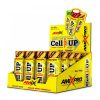 Amix CellUp® SHOT (20 x 60 ml, Mangó)