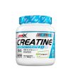 Amix Creatine Monohydrate with Creapure® (300 g)