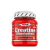 Amix Creatine Monohydrate (500 g)