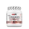 Amix Viscofan Collagen Drink (300 g, Csokoládé)