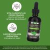 Nature's Way Chlorofresh® Chlorophyll Drops - Klorofill Csepp (59 ml)