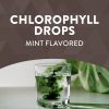 Nature's Way Chlorofresh® Chlorophyll Drops - Klorofill Csepp (59 ml)