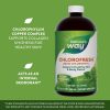 Nature's Way Chlorofresh® Liquid Chlorophyll (480 ml, Menta)