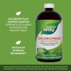 Nature's Way Chlorofresh® Liquid Chlorophyll (480 ml, Ízesítetlen)