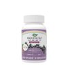 Nature's Way Sambucus Kids Immune Chewable (40 Rágótabletta)