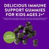 Nature's Way Sambucus Kids Immune Gummies (60 Gumicukor)