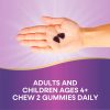 Nature's Way Sambucus Zero Sugar Immune Gummy (50 Gumicukor)