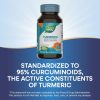 Nature's Way Turmeric Premium Extract (60 Tabletta)